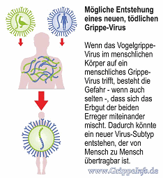 grippeinfo