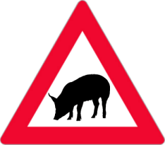 schweinverkehr