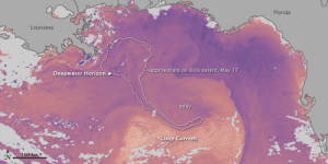 Diese MODIS-Aufnahme der NASA zeigt den Öltepprich und den Loop Current. Foto: NASA Earth Observatory