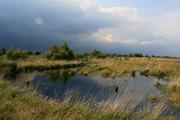 Naturnahe Moorböden (hier: Ahlenmoor) speichern Kohlenstoff, der bei Trockenlegung als CO2 frei wird. (Foto: Bärbel Tiemeyer, vTI)