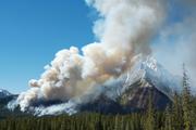 Waldbrand in Kanada. Die jährlich abgebrannten Flächen als auch die durchschnittliche Grße der Feuer könnten künftig deutlich steigen, schreiben die Forscher des Helmholtz- Zentrums für Umweltforschung (UFZ) und der University of Michigan in der Dezember-Ausgabe des Fachblattes "The American Naturalist". Foto: Scott Latham/Fotolia