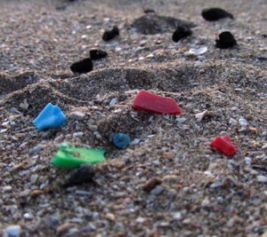 Gift im Gepäck  Während die Plastikpartikel im Meer schwimmen, lagern sich giftige Stoffe an ihnen an. Werden die Kunststoffstückchen dann von Meeresbewohnern gefressen, gelangen die Gifte auf diese Weise in die Nahrungskette. Foto: Valeria Hidalgo-Ruz/Universidad CatÃ³lica del Norte, Chile