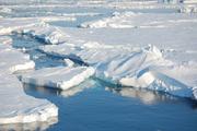 Arktisches Meereis Foto: Dirk Notz, MPI für Meteorologie