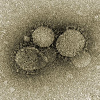 MERS- CoV Coronavirus