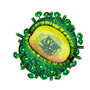 Schematische Darstellung des Influenza-Virus, Erreger der Grippe. HZI/Britta Mießen