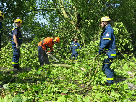 THW-Einsatzkräfte beseitigen Unwetterschäden.Quelle: THW/ Annika Nitschke