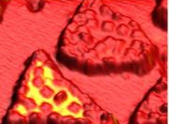 Rastertunnelmikroskopie-Aufnahme (50x50nm2) organischer Moleküle. Die Färbung zeigt die unterschiedliche Spin-Ausrichtung an (Quelle: CFN)