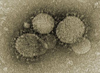 MERS- CoV Coronavirus