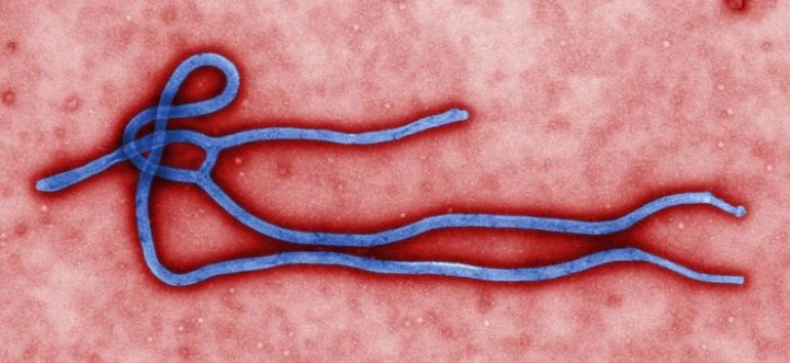 Ebola Virus Quelle: CDC