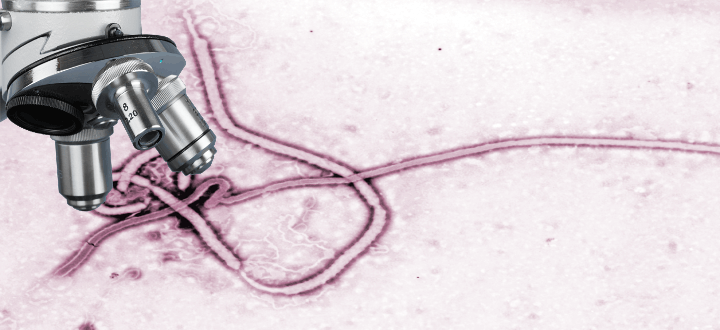 ebola impfung 3
