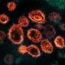 Coronavirus SARS-CoV-2